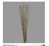 BAMBOO STICKS TALL STICK NATURAL FOLIAGE